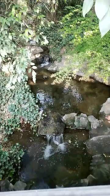 七彩喷泉厂家就找唐诺景观
