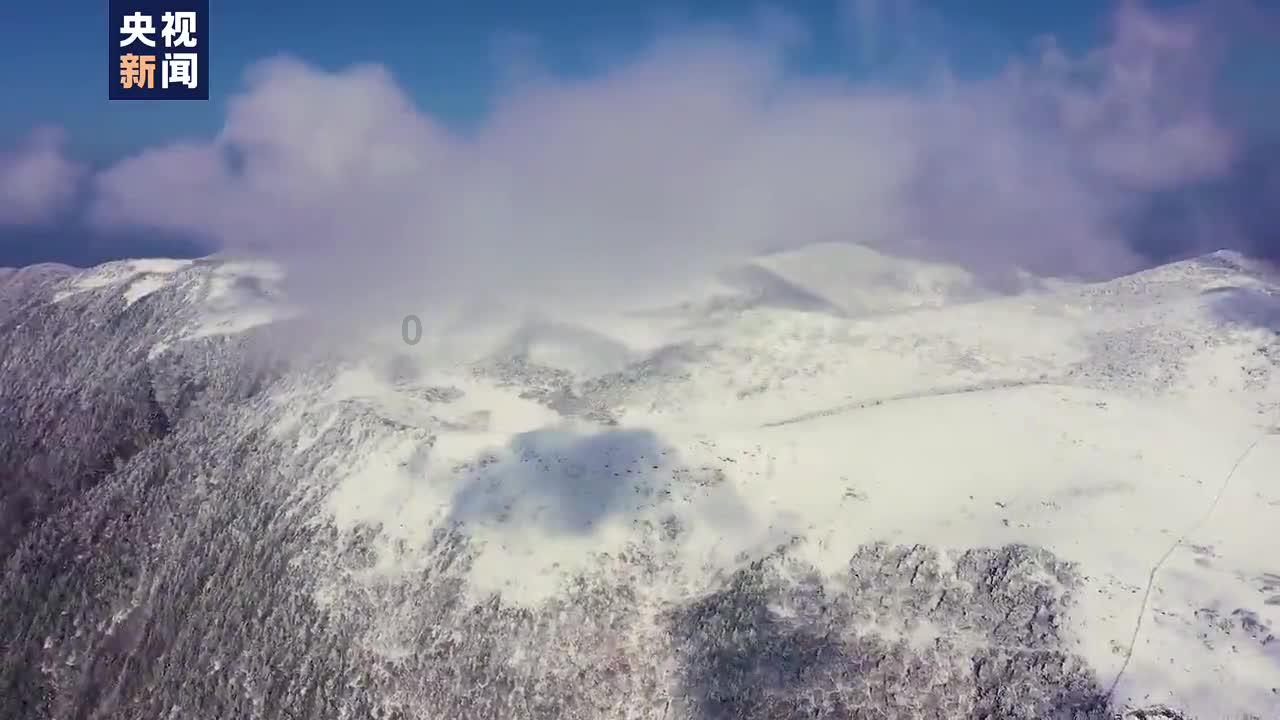 88影视