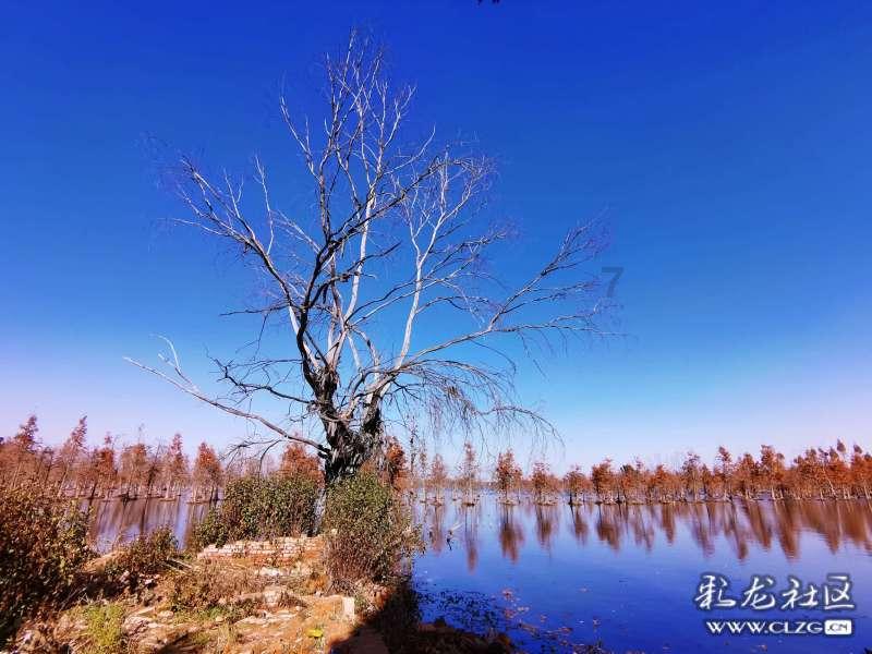 世体:罗梅乌无意冬窗离开巴萨,他对于转会传闻并不知情