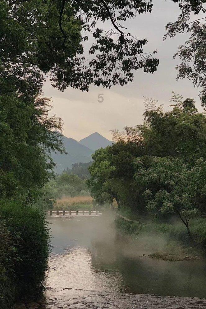 骑士的侍从