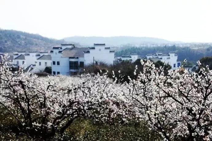 镇魔曲页游