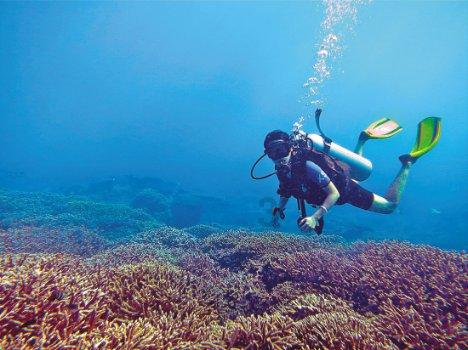 沙特经济和规划大臣：沙特将于4月主办世界经济论坛特别会议
