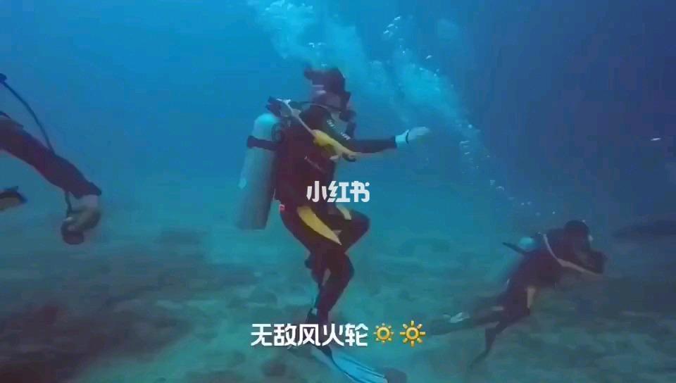 2023年澄迈县货物贸易进出口100.6亿元
