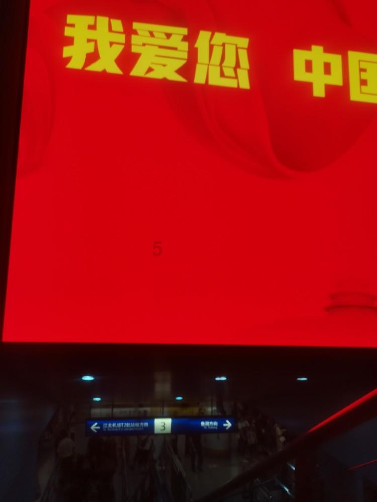 小猫钓鱼正版下载中文版