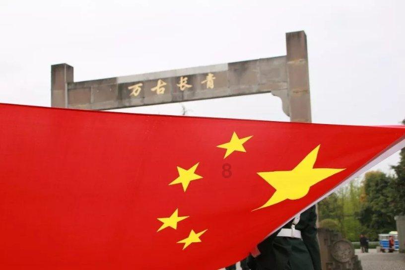 动物帮帮忙保卫家园