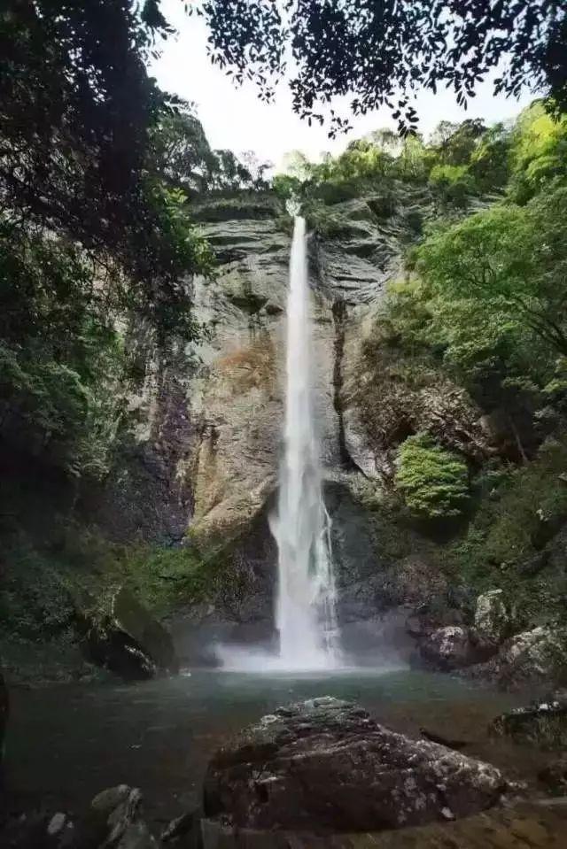连上央视!闽南水乡花式整活“一套又一套”